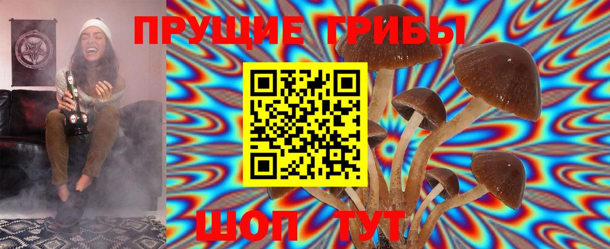 Ногинск  Псилоцибиновые грибы GOLDEN TEACHER  Вход с VPN  Псилоцибиновые грибы GOLDEN TEACHER 
